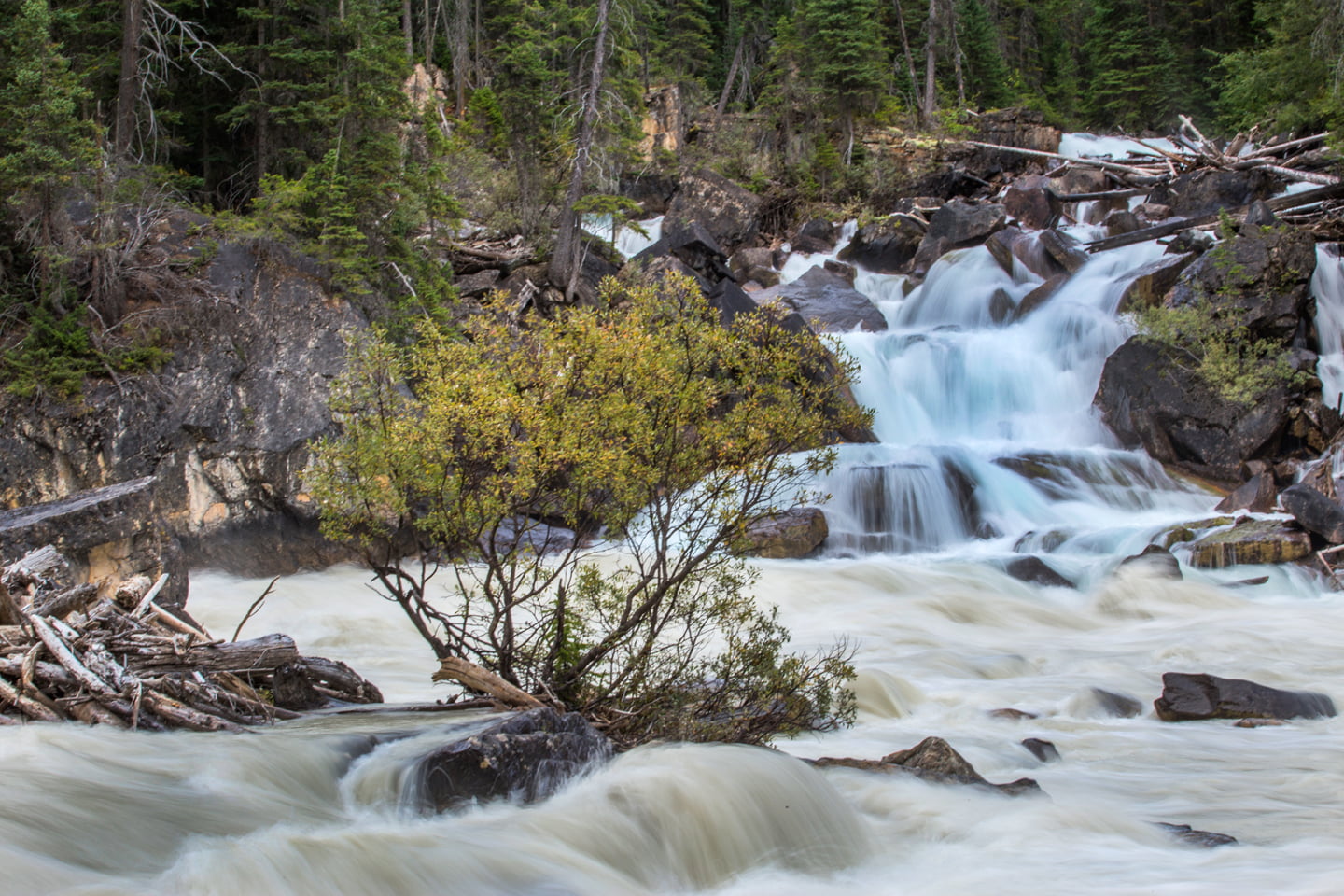 merging-of-the-waters-yoho-national-park