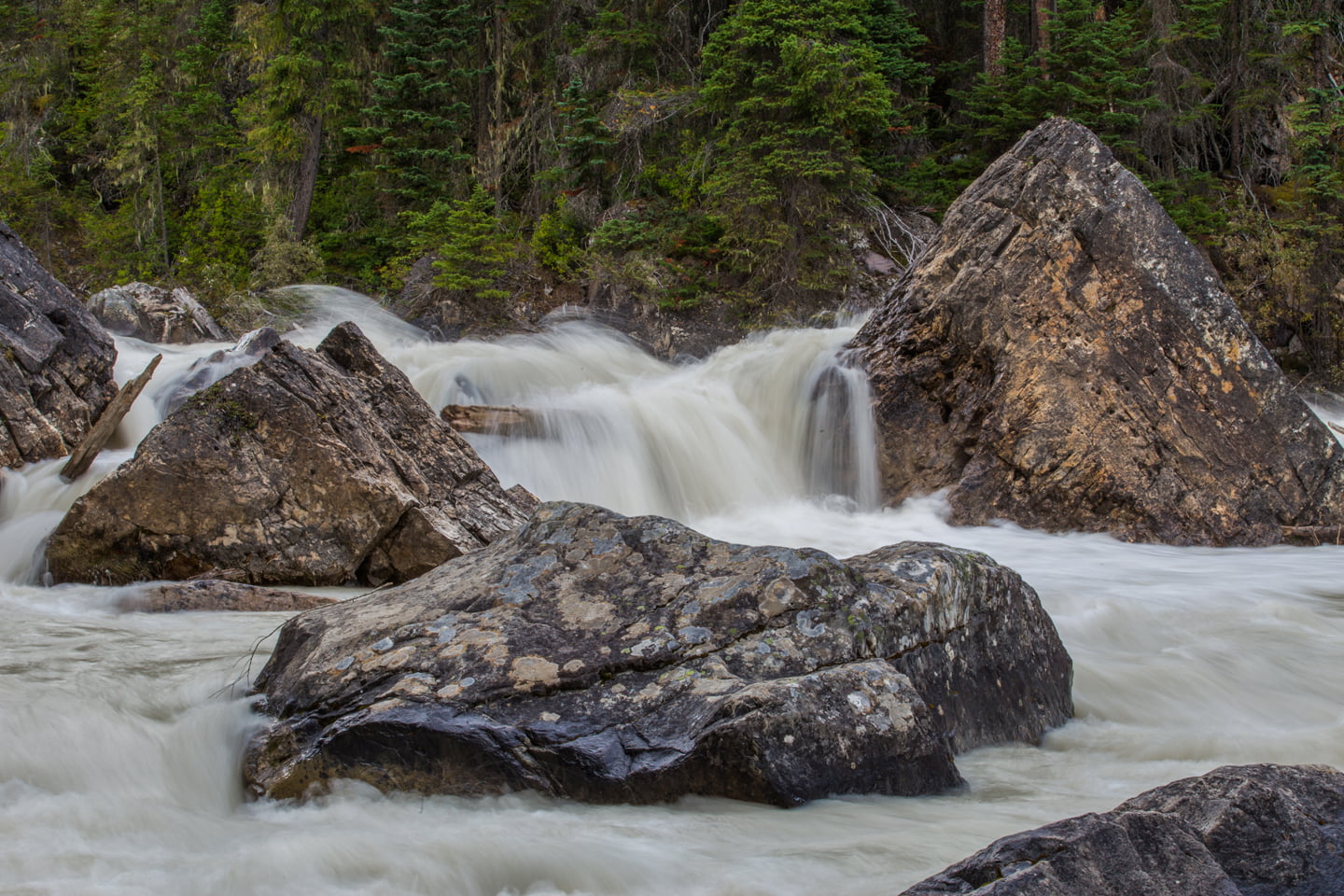 merging-of-the-waters-yoho