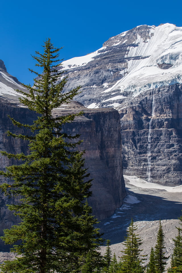 plain-of-six-glaciers-hike-waterfall-tree