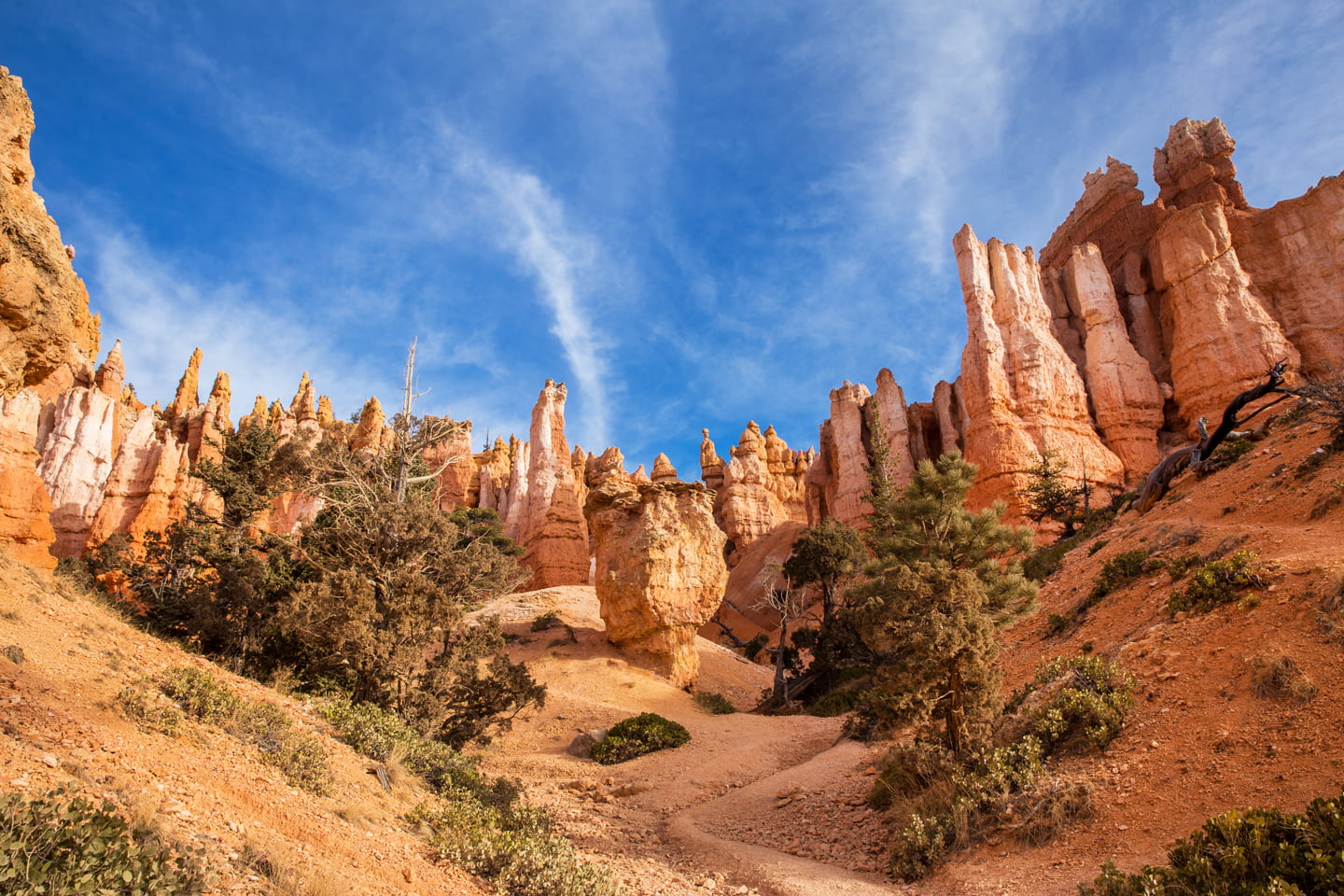 One Day in Bryce Canyon | Bryce Canyon National Park