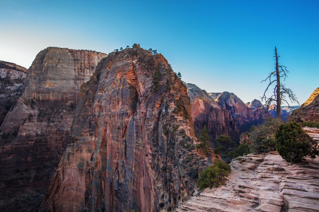 Hiking Angel's Landing | Zion National Park's Best Hike