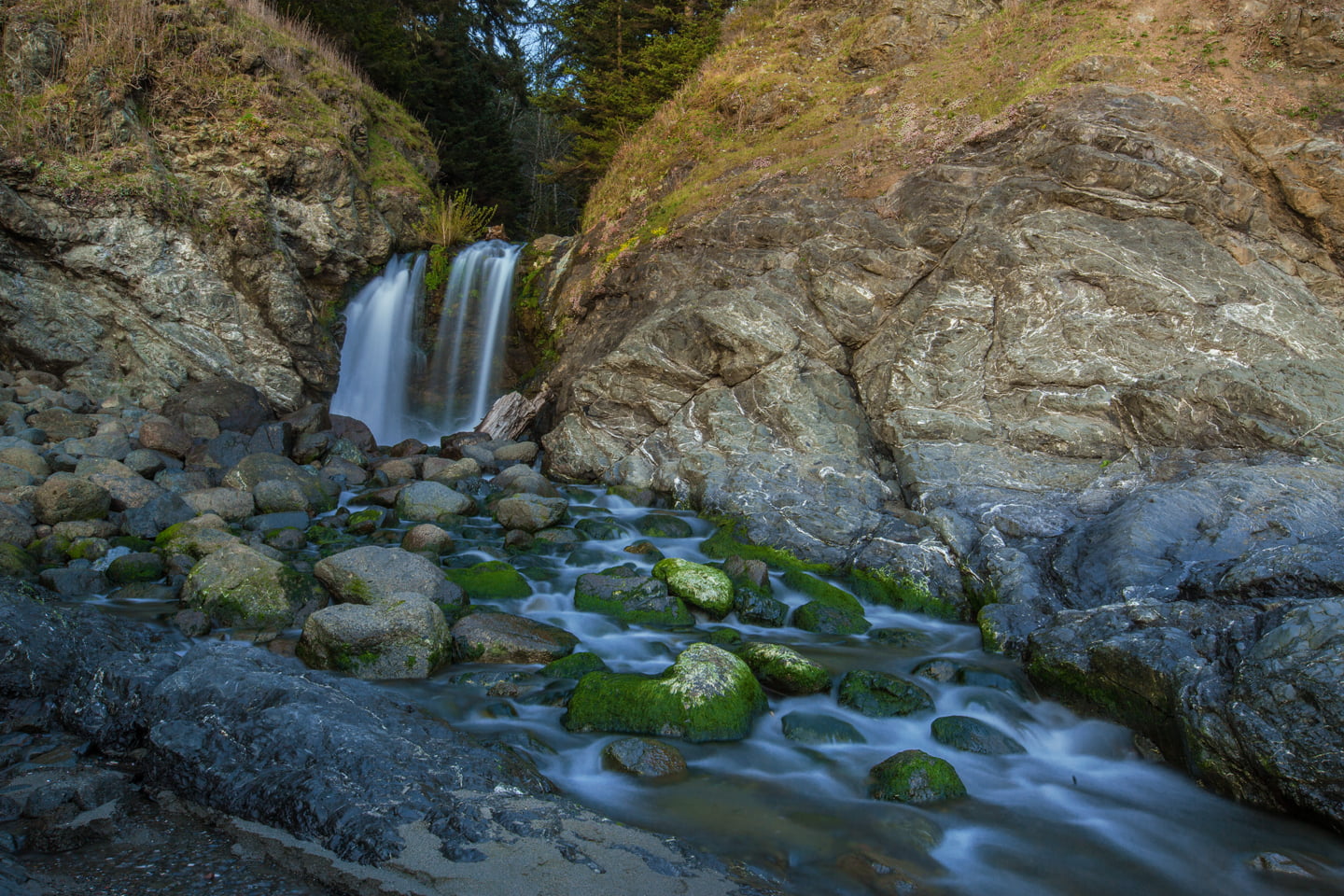 Road Trip to Redwood National and State Parks