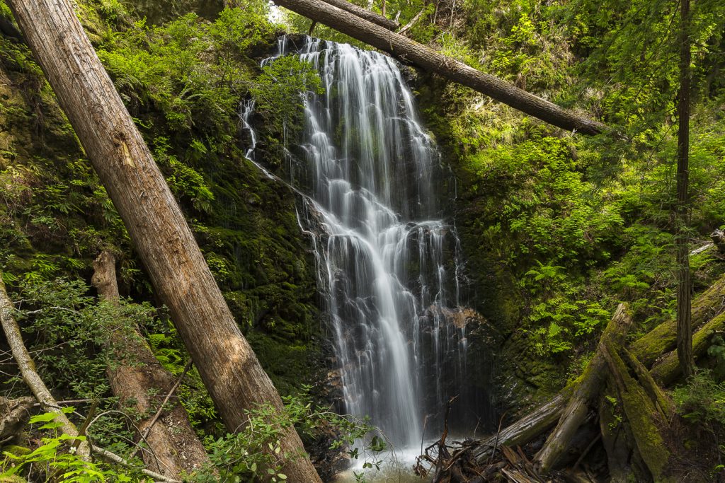 Bay Area Redwoods Hike to Berry Creek Falls Big Basin Waterfall Hike